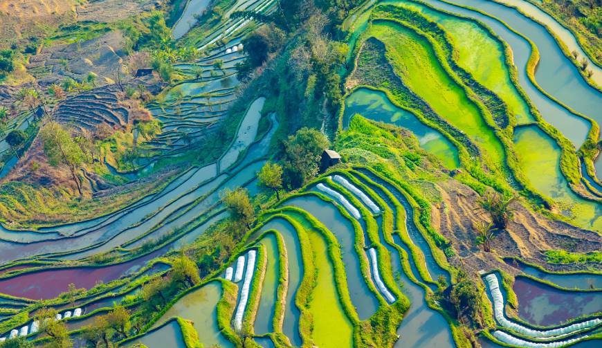 走进烈山区TVC拍摄：解锁本地化场景与创意镜头的完美融合